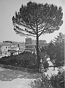 Colosseo 1910